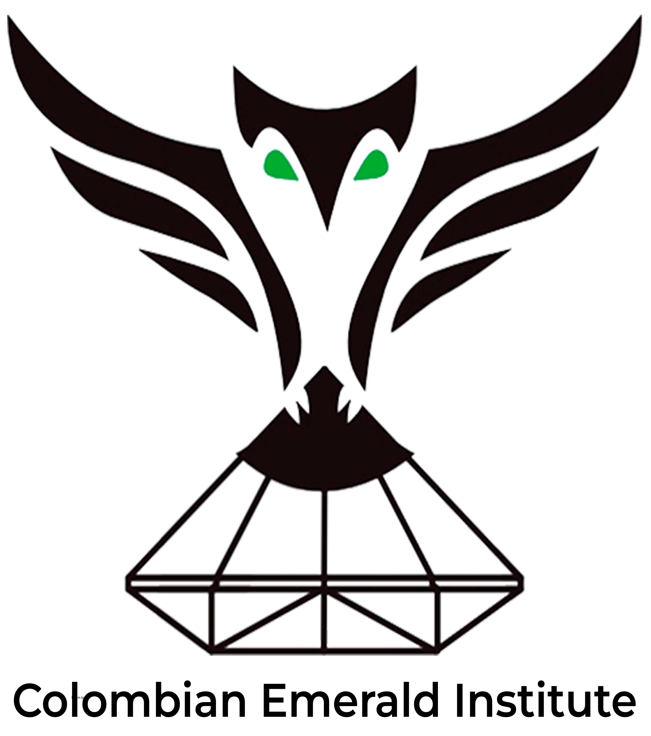 Logo Pagina esmeraldas